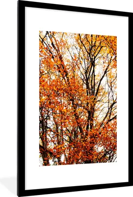 Produktbild von MuchoWow® Gerahmtes Poster Wald - Herbst - Jahreszeiten 60x90 cm - Poster mit Schwarzem Bilderrahmen Wandposter Rahmen Foto Bilder - Dekoration - Wandposter Wohnzimmer - Hochwertig