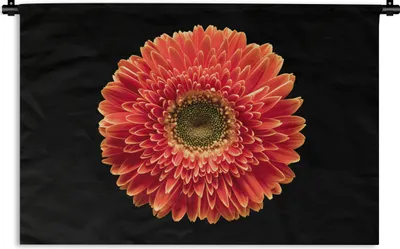Produktbild von MuchoWow® Wandteppich Wandbehang Eine orangefarbene Gerbera-Blüte vor schwarzem Hintergrund 90x60 cm Tapisserie Dekoration Wandtuch - Wandskulpturen - Bildteppich