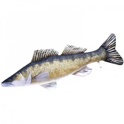 Produktbild von Gaby Kissen Zander 75 cm