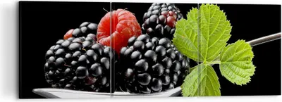 Produktbild von Bild auf Leinwand - Leinwandbild - Löffel Himbeere Brombeere Frucht - 120x40cm - Wand Bild - Wanddeko - Leinwanddruck - Bilder - Kunstdruck - Leinwand bilder - Wandkunst - CA120x40-2202