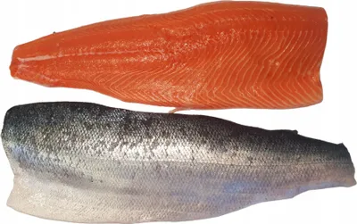 Obrázek produktu pro Lososový filet bez kůže E-Trym čerstvý cca 1,5 kg