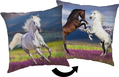 Produktbild von Jerry Fabrics JERRY FABRICS Kissen Pferd 02 Polyester, Wiese 40/40 cm