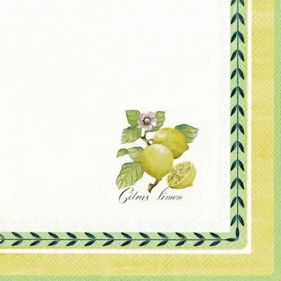 Obrázek produktu pro Ubrousky 33 x 33 cm – FRENCH GARDEN V & B