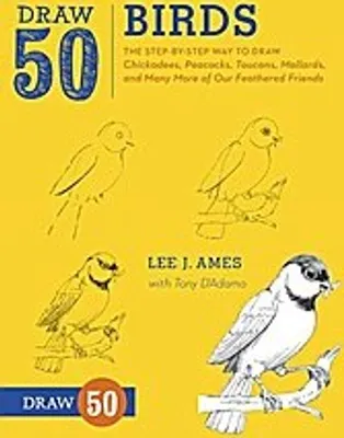 Obrázok produktu pre Draw 50 Birds