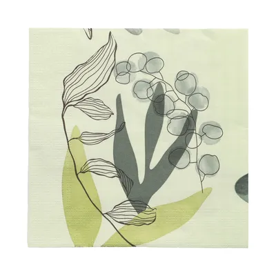 Produktbild von PAPSTAR Servietten 1/4-Falz, 33x33 cm, "Nature", 3-lagig | Folie (20 Stück)