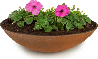 Produktbild von Flache Pflanzschale für draussen Dekoschale rund Rost-Optik 45 cm