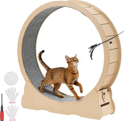 Produktbild von Katzenlaufrad - Holz-Laufrad - 108 cm Innendurchmesser - Teppich-Lauffläche - Verriegelungsmechanismus - Leiser Betrieb - Für Katzen 8,6–12,7 kg - Für Wohnungskatzen