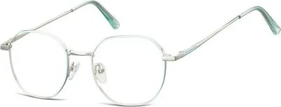 Produktbild von SUNOPTIK 902 (C) Brille