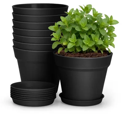 Image de Pots de fleurs avec soucoupes, lot de 8, 10 cm, plastique, noir