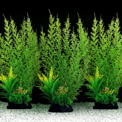 Immagine prodotto di Piante artificiali per acquari - Grande decorazione - Set di 3 pezzi - Sicure per i pesci - Facili da pulire - Aspetto naturale - Decorazioni per acquari
