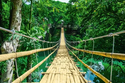 Produktbild von MB 44 Landschaften Dschungel Hängebrücke