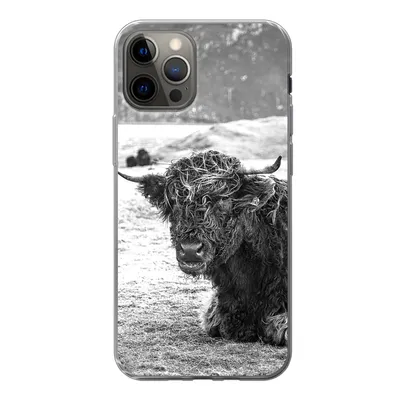 Produktbild von MuchoWow® Handyhülle Schutzhülle Hülle für iPhone 13 Pro Schottischer Highlander - Berg - Tiere Silikon Softcase Handy Hülle - Handy-Tasche