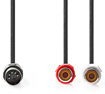 Zdjęcie produktu dla Kabel audio DIN | DIN 5-pinowe męskie | 2x żeńskie RCA | Niklowane | 0,20 m | Okrągły | PCV | Czarny | Etykieta