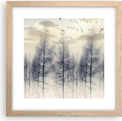 Produktbild von Gerahmtes Poster - Rahmen in heller Eiche - Bäume Vögel Himmel - 30x30 cm - Wand Bild - Wanddeko - Wandbilder - Kunstposter - Wandposter - Bilderrahmen - Bilder - Kunstdruck - P2NAC30x30-4546