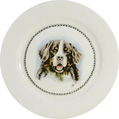 Produktbild von HofundZoo Frühstücksteller 21cm Hund