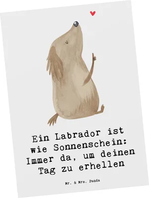 Produktbild von Mr. & Mrs. Panda Postkarte Labrador Sonnenschein - Weiß - Geschenk, Ansichtskarten, liebevoller Hund, Postkarten, Hunderassen Charakter, Freund, Eigenschaften, Hunderasse