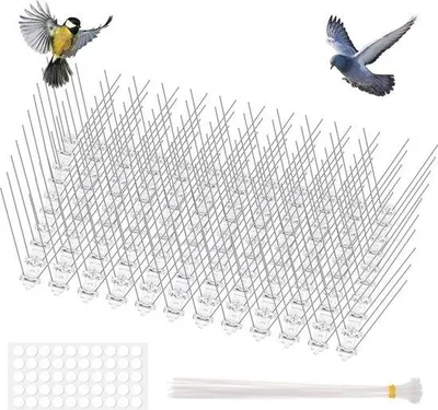 Image de Pinces à oiseaux en acier inoxydable, lot de 12