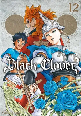 Obrázok produktu pre Black Clover. Zväzok 12