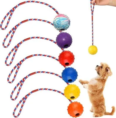 Image de Jouet pour chien avec corde - Caoutchouc naturel - Souple et élastique - Pour petits et grands - À lancer et à attraper