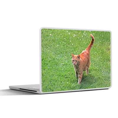 Produktbild von MuchoWow® Laptop Aufkleber Sticker Cover Katze - Rot - Katze - Mädchen - Kinder - Jungen - Kind 31x22.5 cm - Laptop-Deko
