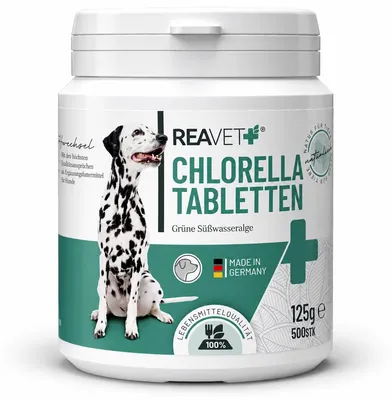 Produktbild von REAVET Chlorella Tabletten für Hunde 500 Stück – Hochdosiert in Lebensmittelqualität, Mikroalge unterstützt Haut & Fell, Chlorella Algen Tabletten viel Protein