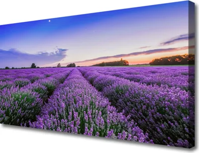 Produktbild von Tulup Leinwand-Bilder 100x50 Wandbild Canvas Kunstdruck Wiese Blumen Natur
