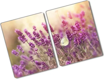 Produktbild von Tulup Glas Herdabdeckplatte - 2x40x52 cm - Glaskeramikkochfeld-Abdeckung Spritzschutz Glasabdeckplatte Kochplattenabdeckung und Schneidebrett - Zweiteilig - Blumen & Pflanzen - Lavendel - Lila