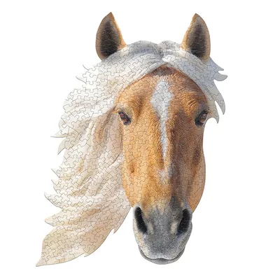 Obrázek produktu pro Obrysové puzzle 300 Jsem - Kůň
