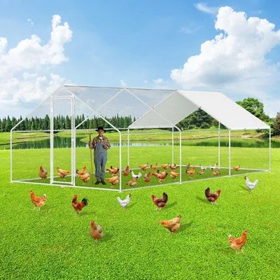 Obrázok produktu pre Malá klietka pre domáce zvieratá 3×6×2 m – pozinkovaná oceľ – vonkajšia klietka – so zámkom – pre vtáky – malé zvieratá