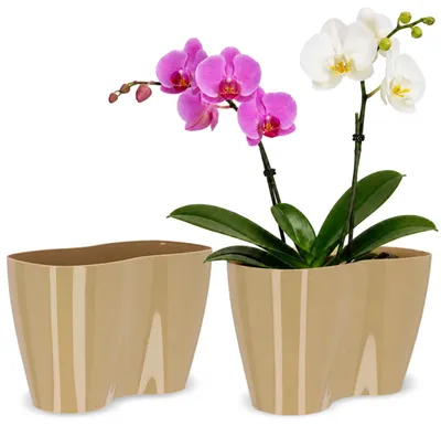Image de KADAX Pot de fleurs pour l'intérieur "Fermo", pots de fleurs, pot de plantes en plastique, bac à fleurs, beige, 23 cm