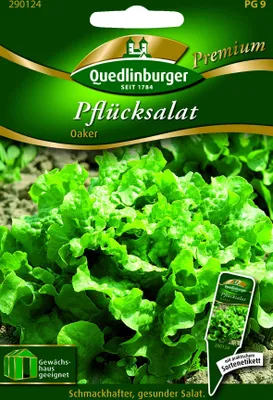Produktbild von Pflücksalat 'Oaker' Quedlinburger Salatsamen