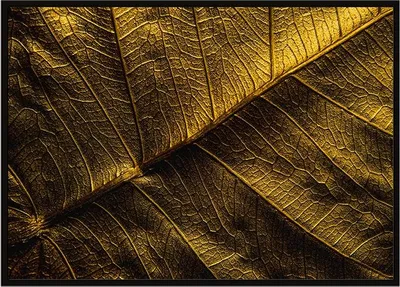 Produktbild von Bildplakat im Rahmen 53x73 cm Blattgold P1761