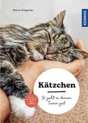 Image de Kätzchen