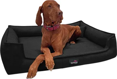 Produktbild von tierlando® Orthopädisches Hundebett GUSTAV SCANDI CHIC Große Hunde XL Hundesofa - Größe: 130x100cm | Farbe: 03 Schwarz