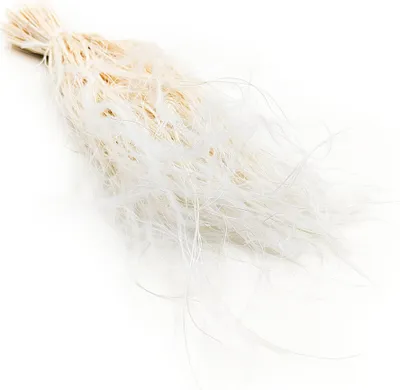 Produktbild von Federgras Getrocknete - (Stipa pennata) - Gebleicht