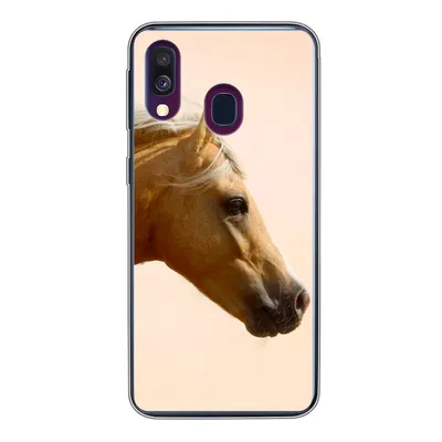 Produktbild von MuchoWow® Handyhülle Schutzhülle Hülle für Samsung Galaxy A40 Pferd - Licht - Luft Silikon Softcase Handy Hülle - Handy-Tasche