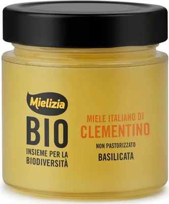 Zdjęcie produktu dla MIÓD NEEKTRARNY Z KWIATÓW KLEMENTYNY ORGANICZNY 300 g - MIELIZNA