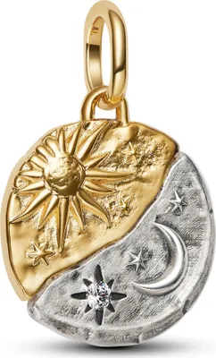 A close-up studio shot of a Pandora charm.