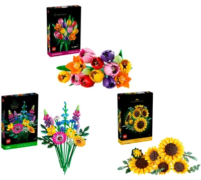 Produktbild von LEGO Botanicals Sommerblumenstrauß-Bundle, Konstruktionsspielzeug