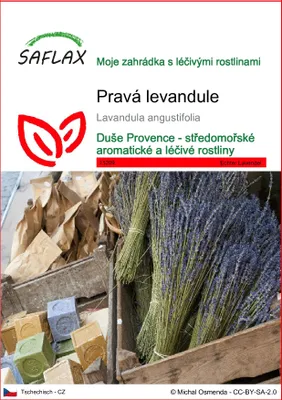 Obrázek produktu pro SAFLAX - pravá levandule - Lavandula angustifolia - 150 Semena