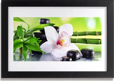 Produktbild von Bild 30x20 MDF-Rahmen Wandkunst Orchid Bambus-Blätter