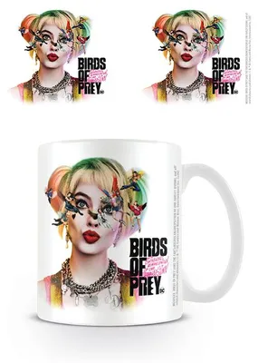 Produktbild von Pyramid International Birds Of Prey Tasse Seeing Stars MG25855