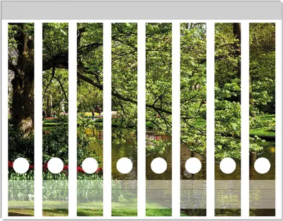 Produktbild von Wallario Ordnerrücken Sticker, selbstklebend für schmale Ordner, 8 Stück, Motiv Bunte Blumen im Park am Wasser - Frühblüher am Ufer