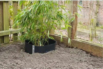 Produktbild von Nature Wurzelbarriere Bogen 0,7 x 3 m HDPE schwarz 6030226