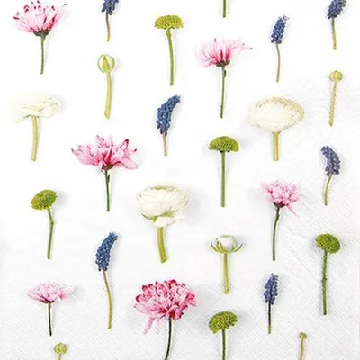 Produktbild von 20 Servietten Flower Composition - Einzelne Gräser und Blumen 33x33cm