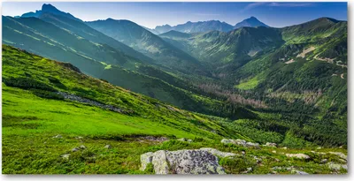 Produktbild von Tulup® Glas-Bild - 100x50 -Wandkunst - Wandbild hinter gehärtetem Sicherheitsglas  - Landschaften - Berge - Grün