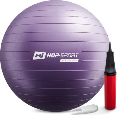 Obrázek produktu pro Míč na cvičení Hop-Sport včetně pumpy, 65 cm, maximální nosnost až 100 kg, fitness míč ideální pro jógu pilates, balanční cvičení - fialový HS-R065YB