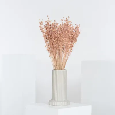 Produktbild von Flachs Linum Getrocknete Trockenblumen 40cm 1 Bund in Rosa Weiß oder Rot