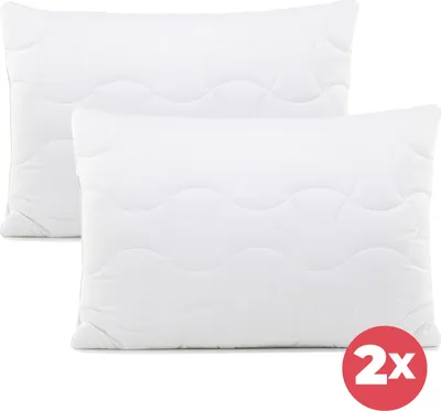 Produktbild von 2-teiliges Set klassischer Vitapur Aloe Vera ClimaFill-Kissen - 50x70 cm, 22385