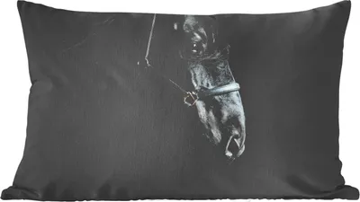Produktbild von MuchoWow® Zierkissen Sofakissen Wohnzimmer Dekokissen 50x30 cm Pferd - Leicht - Schwarz - Wohnzimmerdekoration - Polster mit Photo